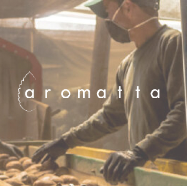 AROMATTA-BY-MATEO-AGUILAR-1.jpg