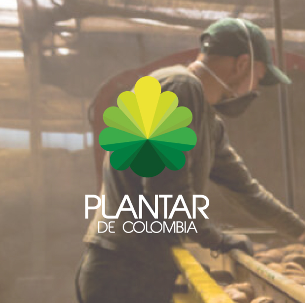 PLANTAR-BY-MATEO-AGUIILAR-1.jpg